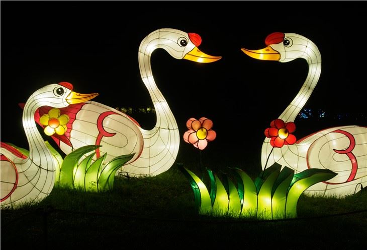 Led Light Chinese Traditional Silk Festival Custom Animal Lantern Show