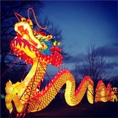Kinesisk nytår Animal Lantern Festival Udendørs Dragon Lantern Show
